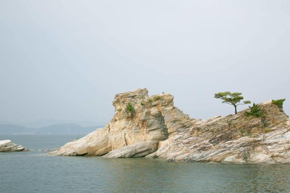 和歌山 新瓦卡日式旅馆酒店 外观 照片